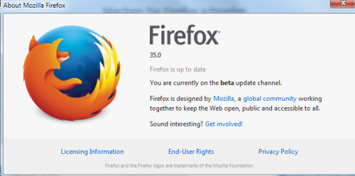 Firefox 35 Download: Neue Technik für verschlüsselte Verbindungen