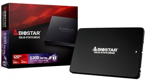 Biostar G300: Der Einstieg in den SSD-Markt