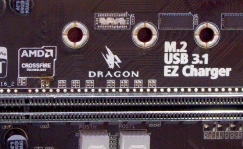 5 Dragon Logo 678x452