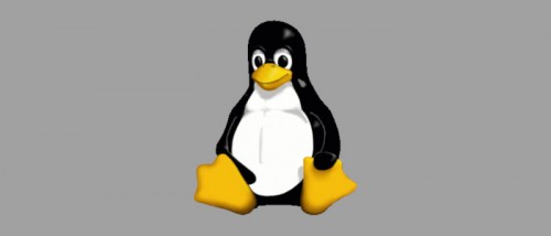 Linux: Suche nach neuen Begriffen für Master und Slave