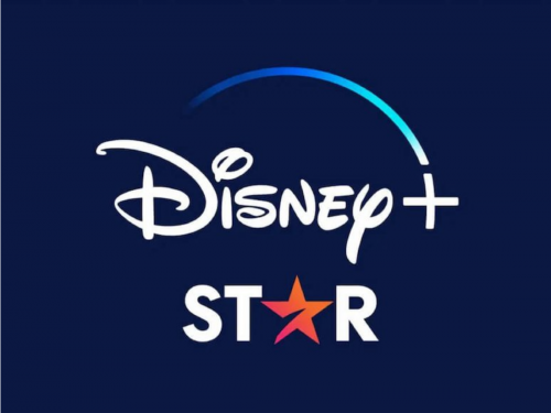 Lionsgate geht rechtlich gegen den Streaming-Dienst von Disney vor