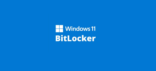 Windows 11: Erhebliche Performance-Probleme mit Bitlocker und SSDs